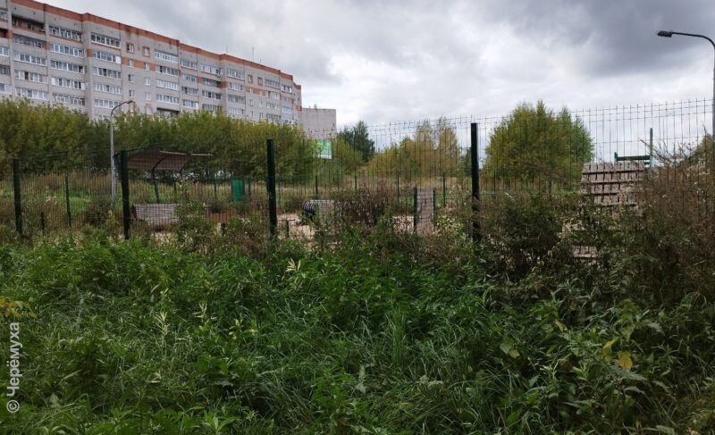 В Рыбинске появится ещё пять площадок для собак. А как дела на установленной два года назад на проспекте Мира. Фото