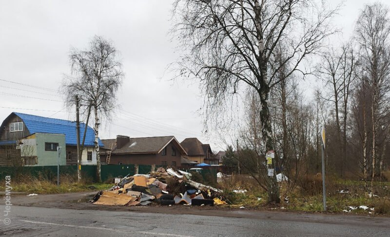Почти полмиллиона — на ликвидацию несанкционированных свалок в Рыбинске. Пока ищут, кто наведёт порядок 