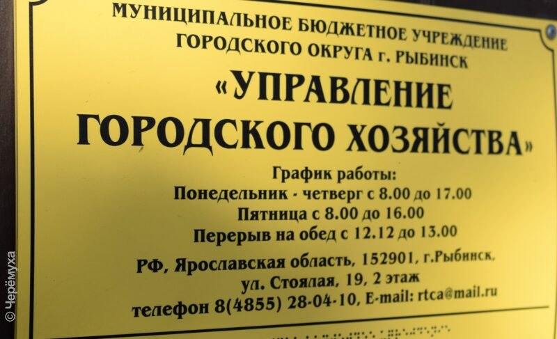 Директором «Управления городского хозяйства» в Рыбинске стала Алёна Росновская