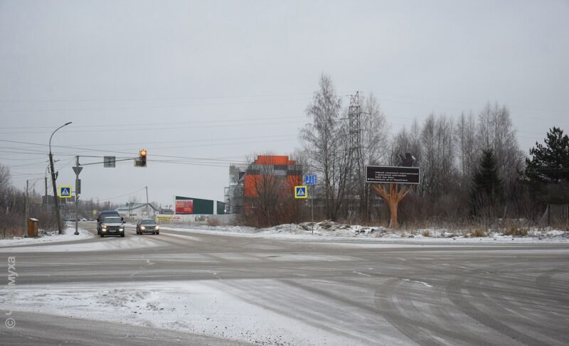 Замысел хороший, к реализации есть вопросы. В Рыбинске появились туруказатели в виде медведей на деревьях