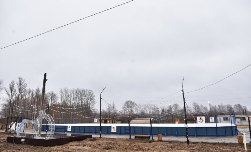 Каток в Каменниках превратят в летний кинотеатр