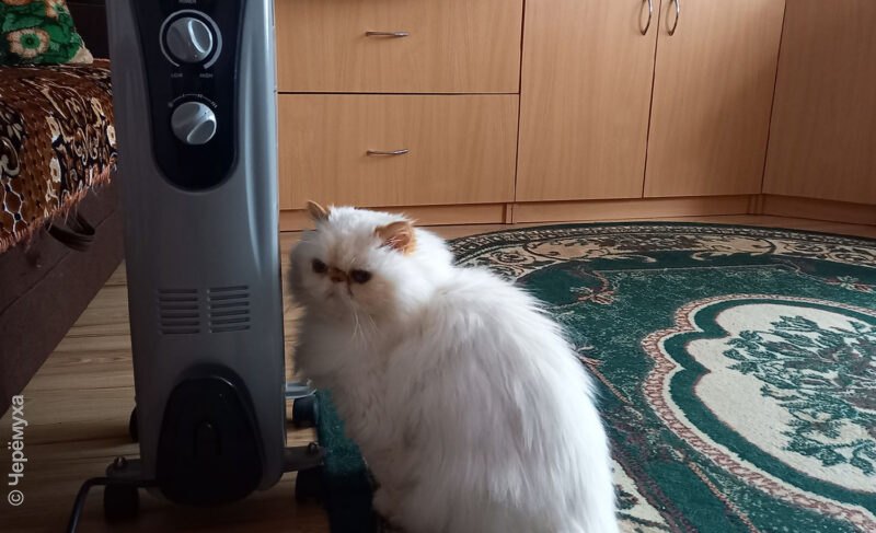 В Рыбинске всё-таки решили возобновить подачу тепла в жилые дома