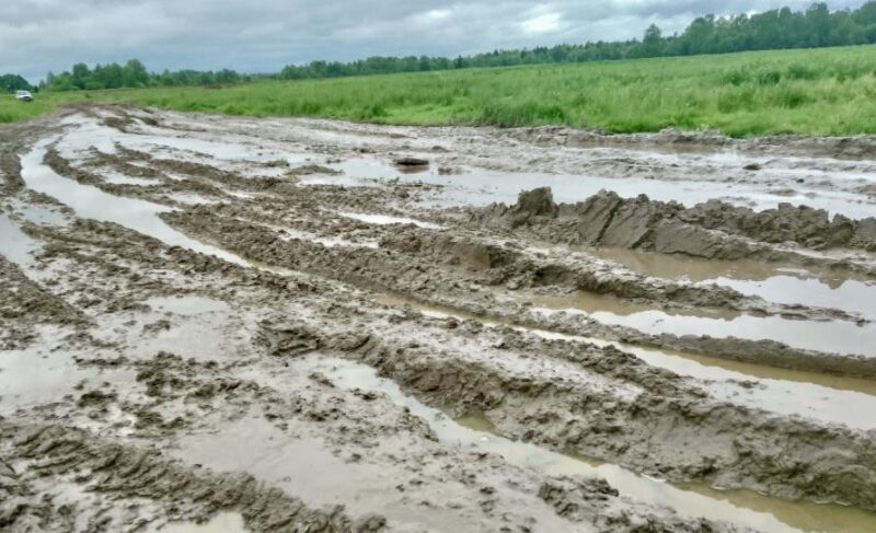 Жители двух деревень в Рыбинском округе не могут проехать к своим домам из-за разбитой дороги