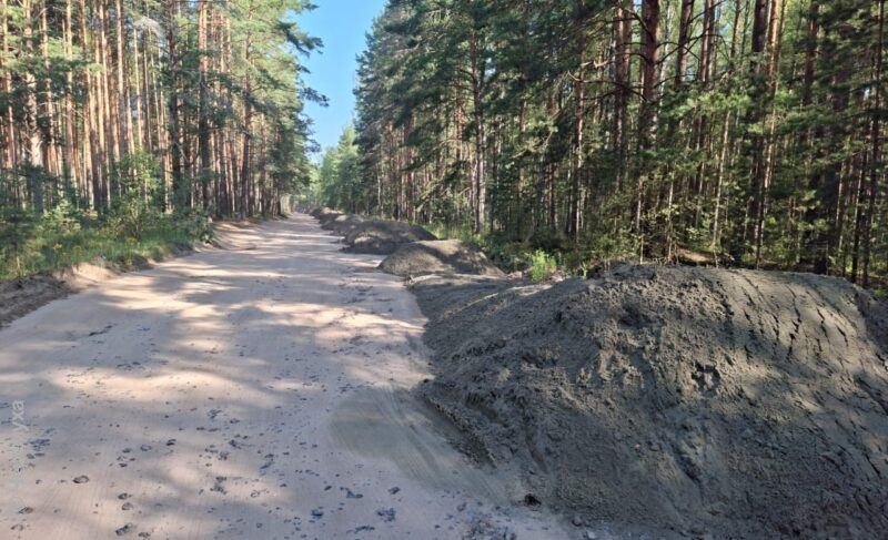 Зачем областные депутаты хотят в совет директоров и причём тут дороги