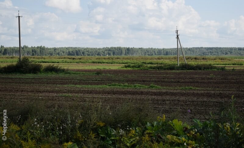 В Ярославле суд вынес приговор по делу об особо крупном мошенничестве с землёй