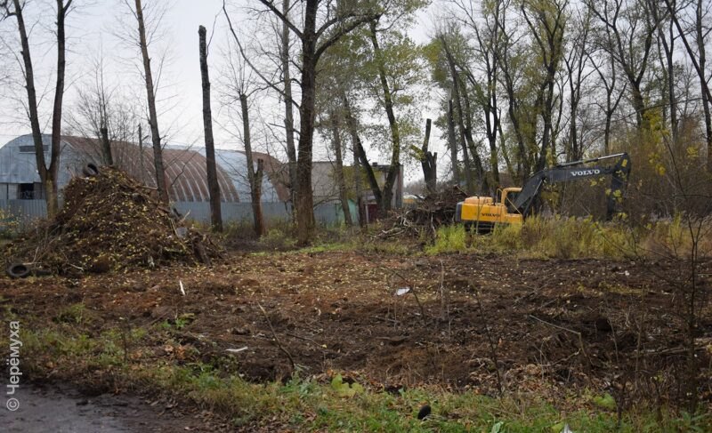 Работы начались: что сделают на пустыре за школой №5 в Рыбинске