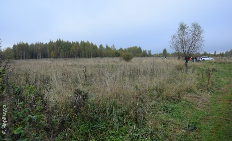 В Рыбинске проведут конкурс проектов для экоквартала на Пузырёвом поле