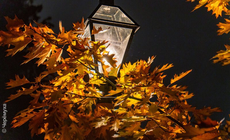 В Рыбинске бизнесу предложили установить собственные фонари на набережной