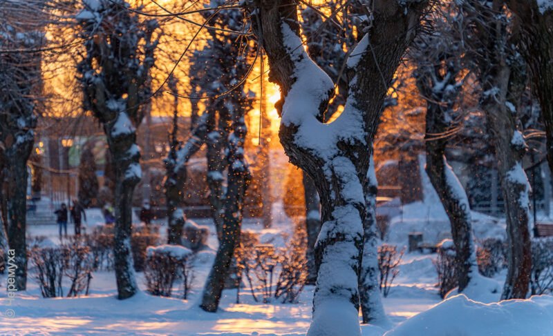 Рыбинск в первые дни 2026-го — открыточные фото