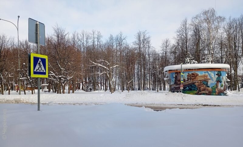 Работников не хватает, припаркованные машины мешают. Как депутаты рыбинского Мунсовета оценили качество зимней уборки