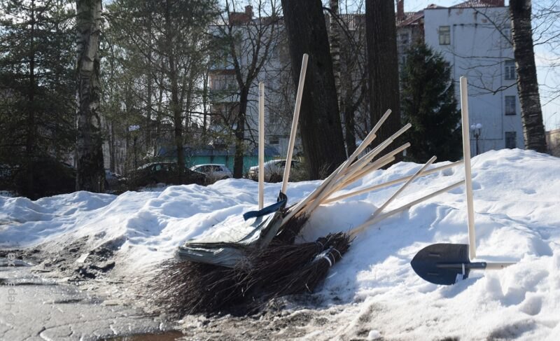 В Рыбинске пройдёт региональный субботник. Что вообще планируют сделать по уборке в апреле