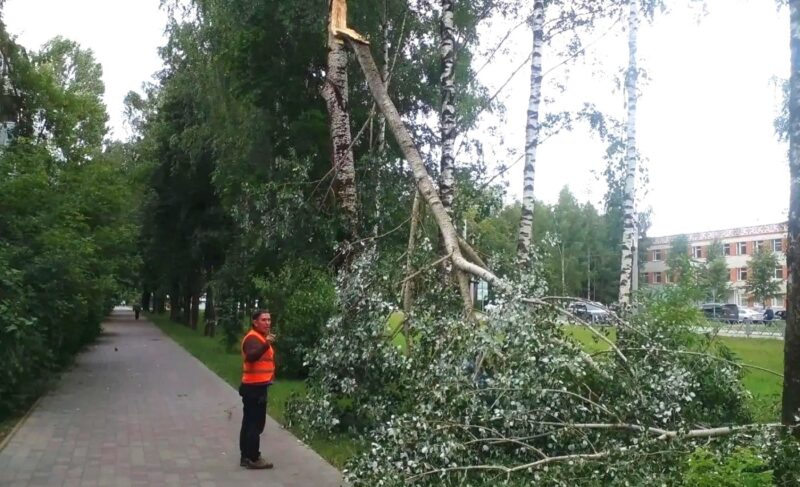 Убирают деревья с тротуаров и дорог. В Рыбинске устраняют последствия сильного ветра