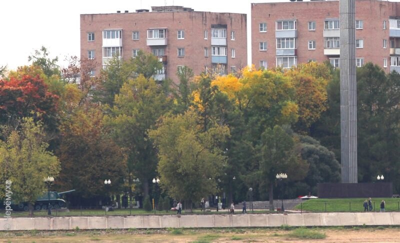 Куница устроила «погром» в стоматологической клинике на Волжской набережной Рыбинска