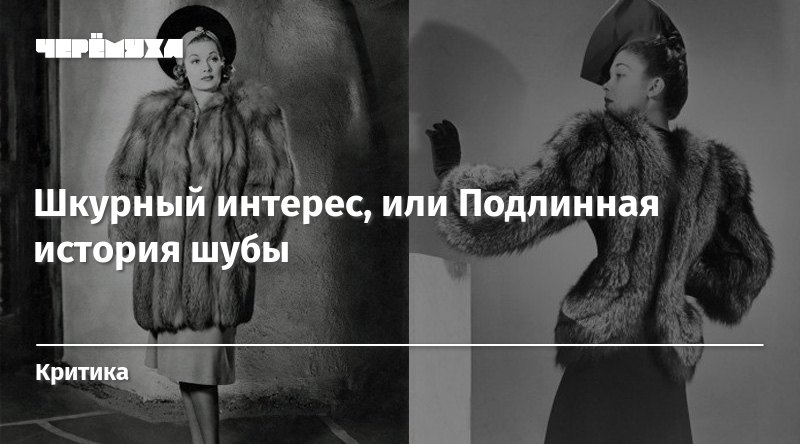 Шуба рассказы. История шубы. Рассказ шуба. Чисто Шкурный интерес. Шкурный интерес приколы.