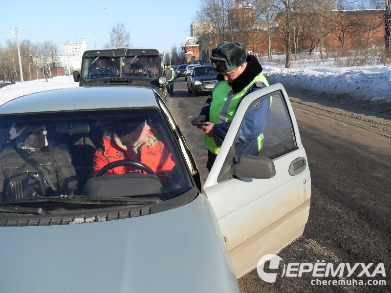 Фото предоставлено пресс-службой Рыбинской ГИБДД