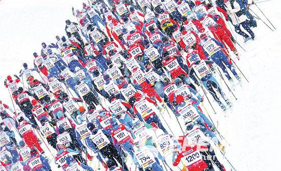 Лыжный марафон в Дёмино соберёт больше полутора тысяч участников